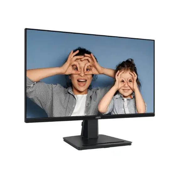 pc monitor