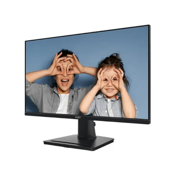 pc monitor