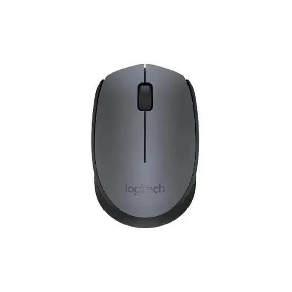 Mouse Logitech M170