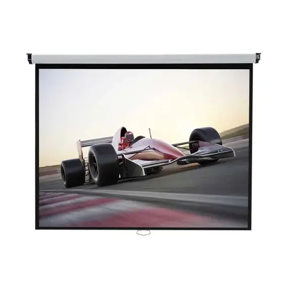 ​Projector Manual Screen ​300 x 300 cm