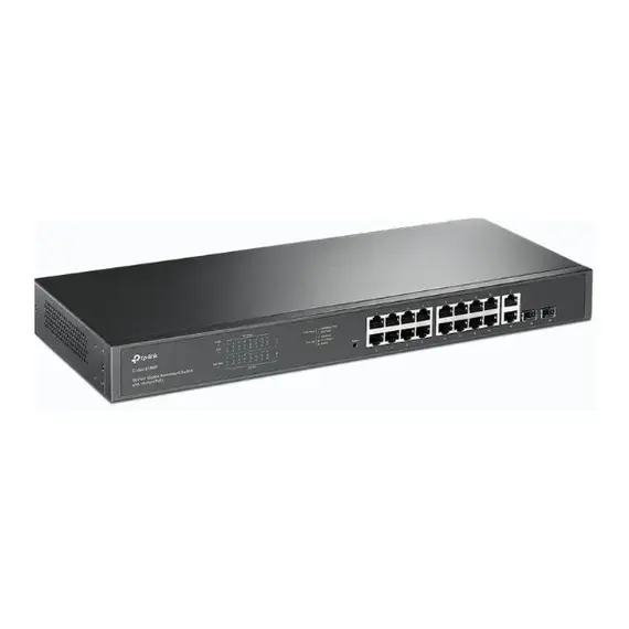 switch 18 port