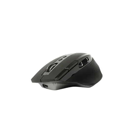 computer mouse
