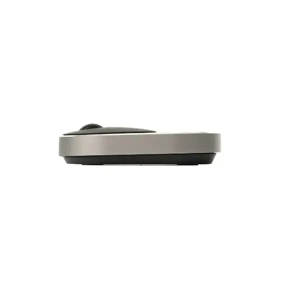 Wireless Mouse Rapoo