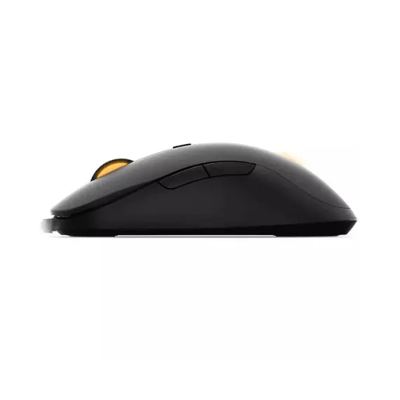 computer mouse