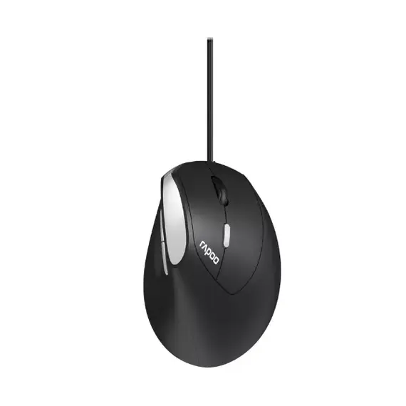 رابو EV200