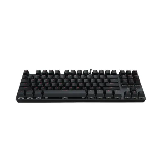Rapoo V500