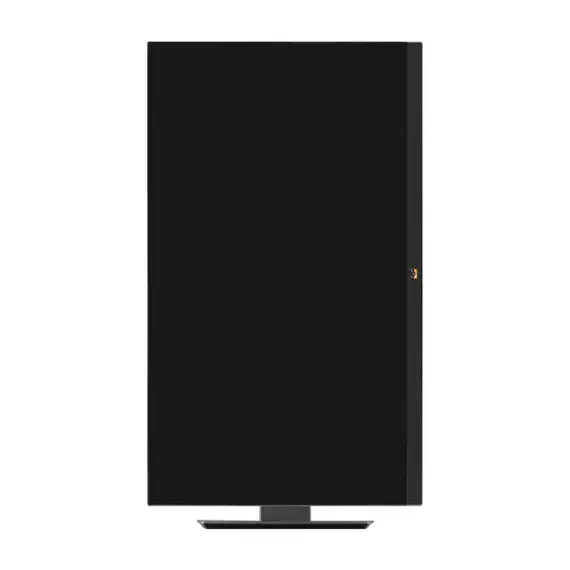 Viewsonic monitor IPS