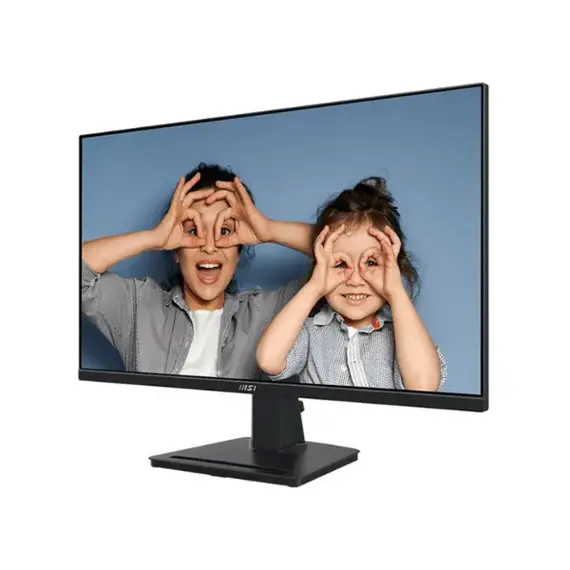 computer monitor msi