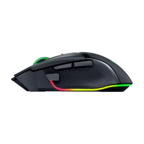 Computer Mouse
