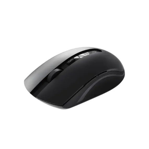 rapoo mouse wireless