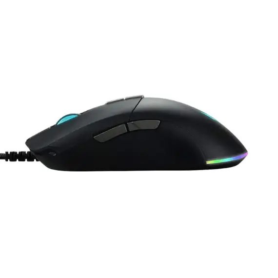 computer mouse