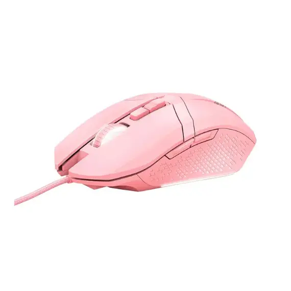 computer mouse