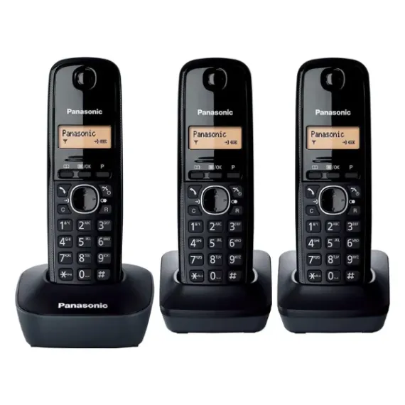 باناسونيك KX-TG1613