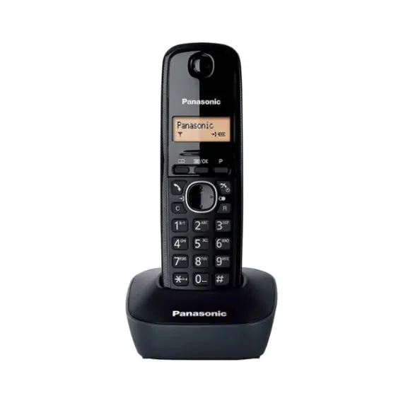 Panasonic KX-TG1611FXH