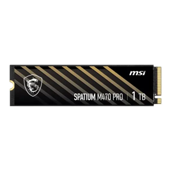 Msi Spatium M470 Pro