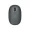 Rapoo M650