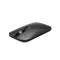 Wireless Mouse Rapoo
