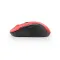 computer mouse