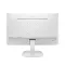 computer monitor
