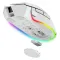Gaming Mouse