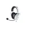 Razer Headset