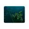 Razer Goliathus Mobile Soft Gaming Mouse Pad