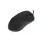 computer mouse