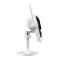 network camera