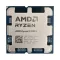 AMD Ryzen 9 9900X