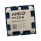 computer processor