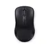 Mouse Rapoo 1620