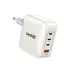 CardoO CGLAEU03