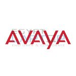 Avaya call center