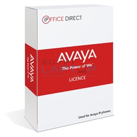 Avaya call center