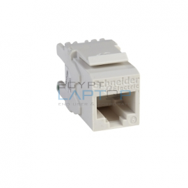 Keystone Modular Jack