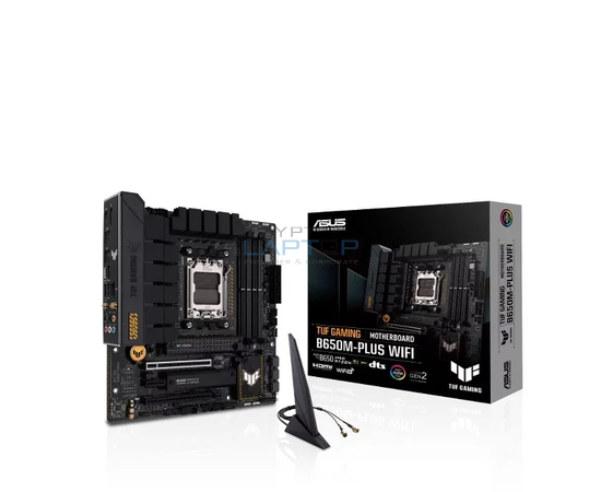 asus motherboards