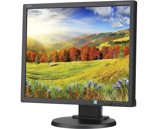 19 inch monitor