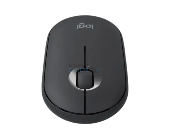 computer mouse