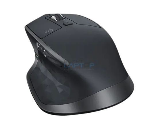 computer mouse