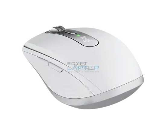 computer mouse