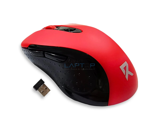 computer mouse